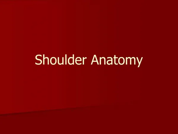 Shoulder Anatomy