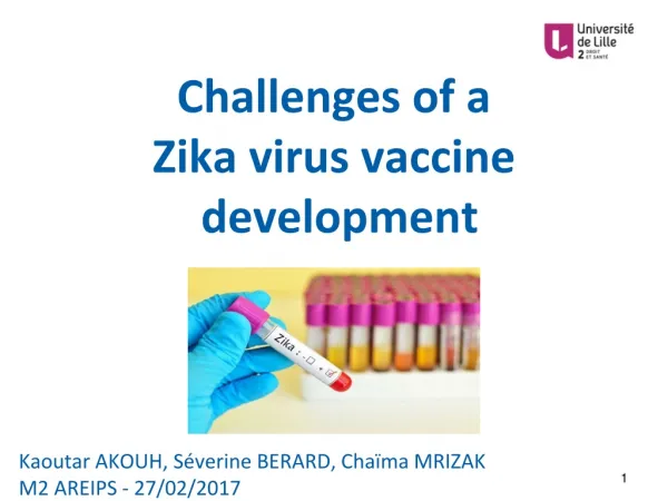 Challenges of a Zika virus vaccine development