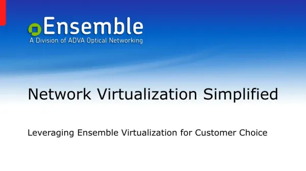 Network Virtualization Simplified