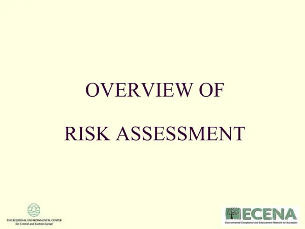 OVERVIEW OF RISK ASSESSMENT