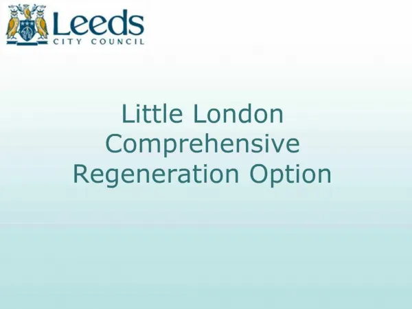 Little London Comprehensive Regeneration Option