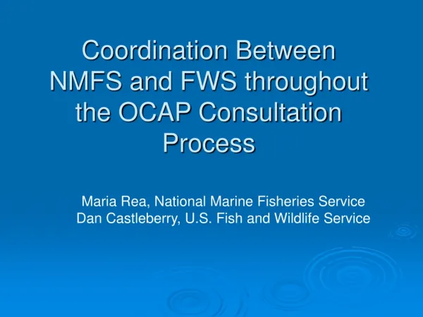 Coordination Between NMFS and FWS throughout the OCAP Consultation Process