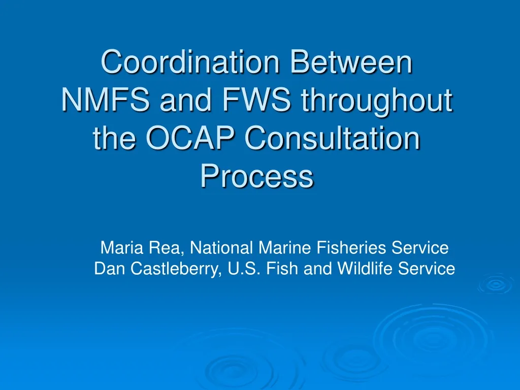 coordination between nmfs and fws throughout