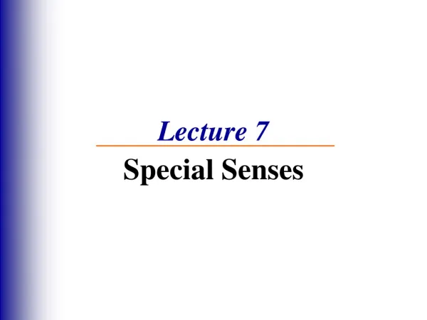 Lecture 7 Special Senses