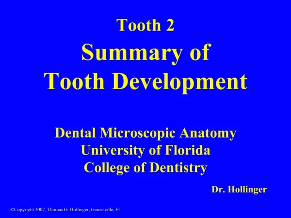 Tooth 2 Summary of Tooth Development Dental Microscopic Anatomy University of Florida College of Dentistry
