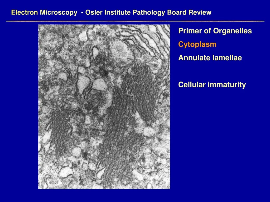 electron microscopy osler institute pathology