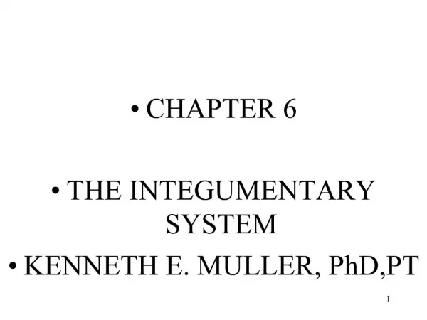 CHAPTER 6 THE INTEGUMENTARY SYSTEM KENNETH E. MULLER, PhD,PT