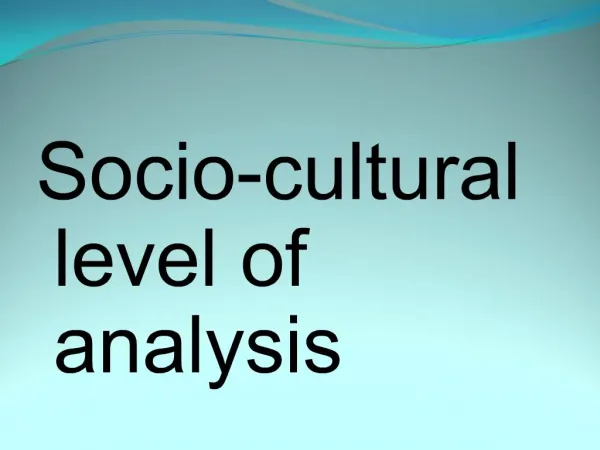 Socio-cultural level of analysis