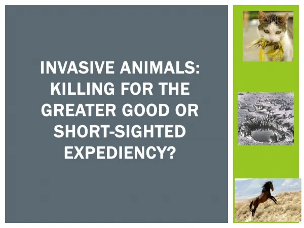 INVASIVE ANIMALS: KILLING FOR THE GREATER GOOD OR short-sighted EXPEDIENCY?