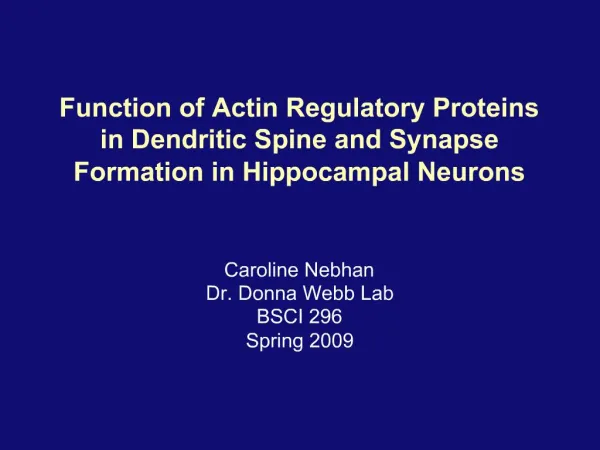 Function of Actin Regulatory Proteins in Dendritic Spine and Synapse Formation in Hippocampal Neurons