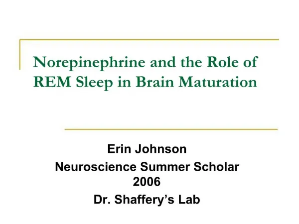 Norepinephrine and the Role of REM Sleep in Brain Maturation