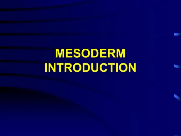 MESODERM INTRODUCTION