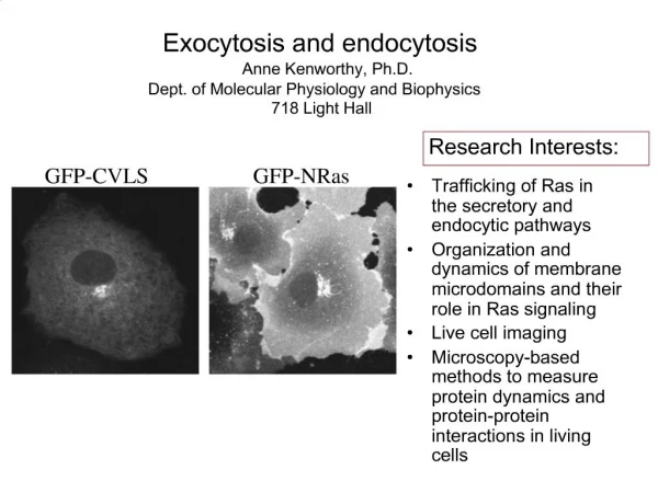 Exocytosis and endocytosis