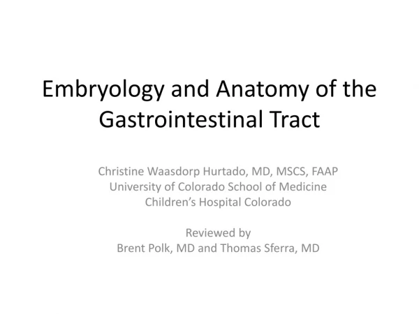 Embryology and Anatomy of the Gastrointestinal Tract
