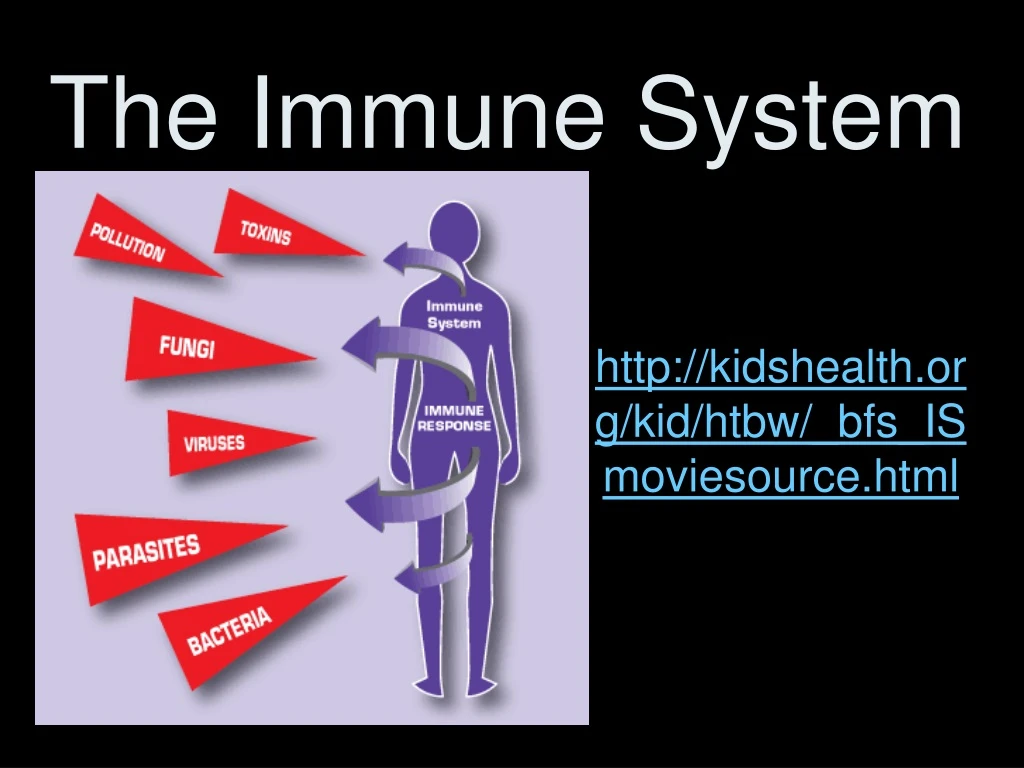 the immune system