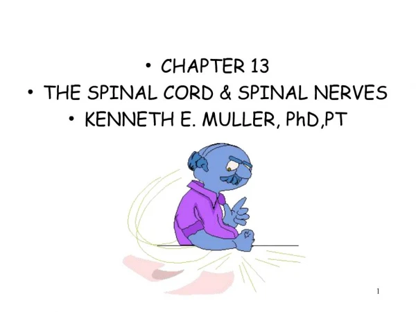 CHAPTER 13 THE SPINAL CORD SPINAL NERVES KENNETH E. MULLER, PhD,PT