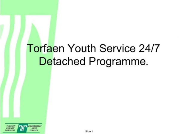 Torfaen Youth Service 24