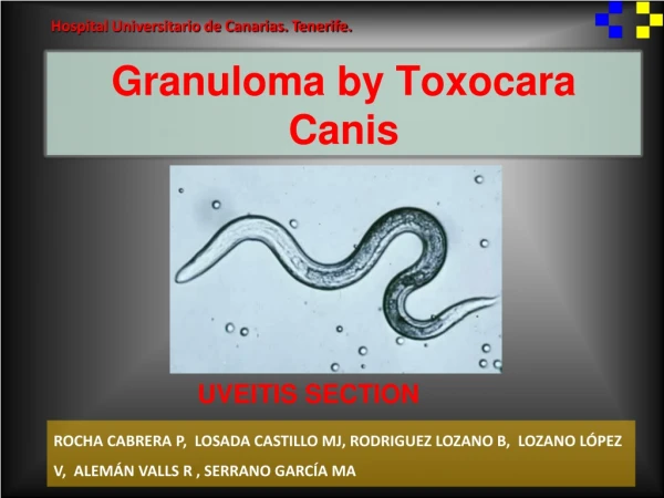 Granuloma by Toxocara Canis