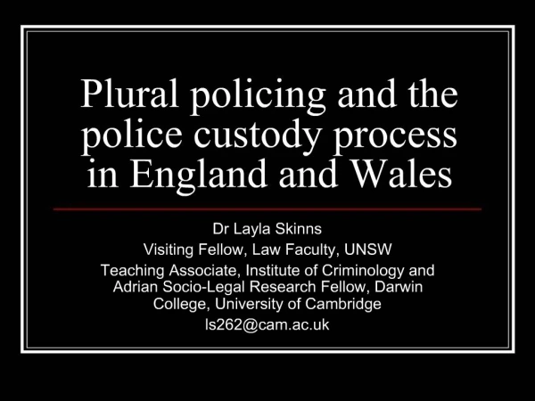 Plural policing and the police custody process in England and Wales