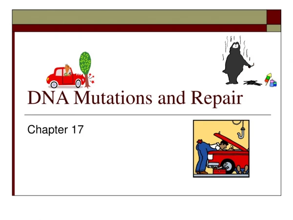 DNA Mutations and Repair