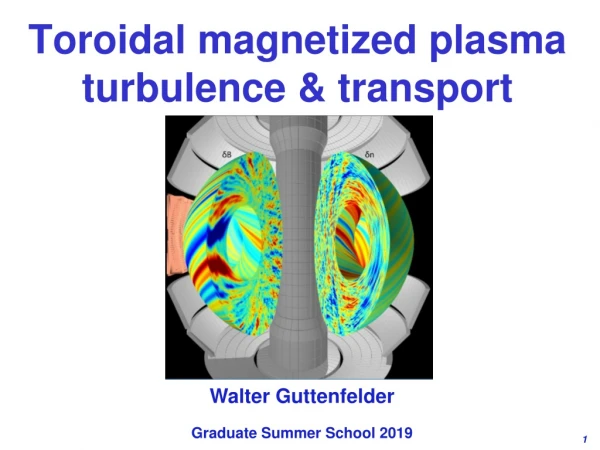 Toroidal m agnetized plasma turbulence &amp; transport