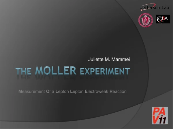 The MOLLER Experiment