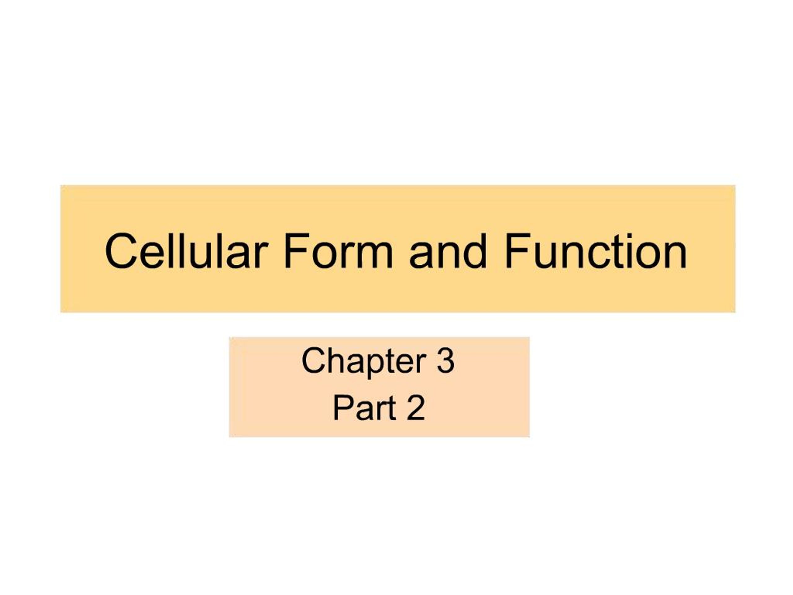 PPT - Cellular Form and Function PowerPoint Presentation, free download ...