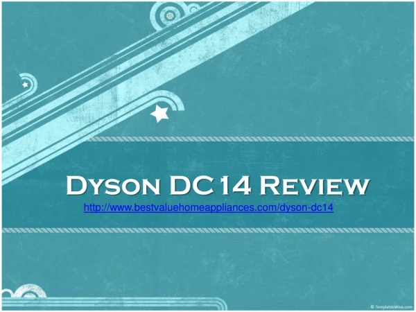 Dyson DC14 Review