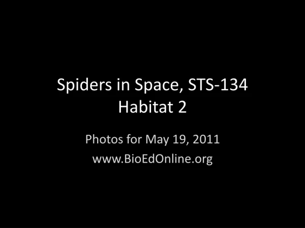 Spiders in Space, STS-134 Habitat 2
