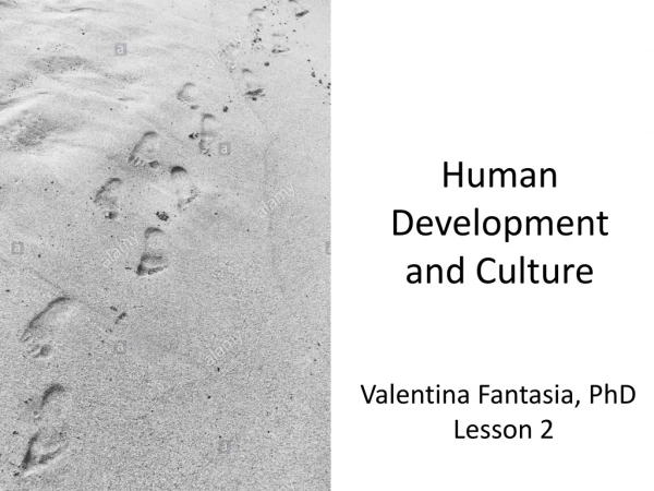 Human Development and Culture