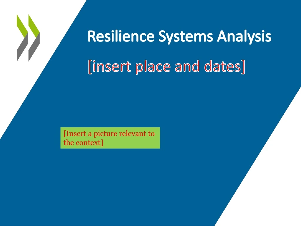 resilience systems analysis insert place and dates
