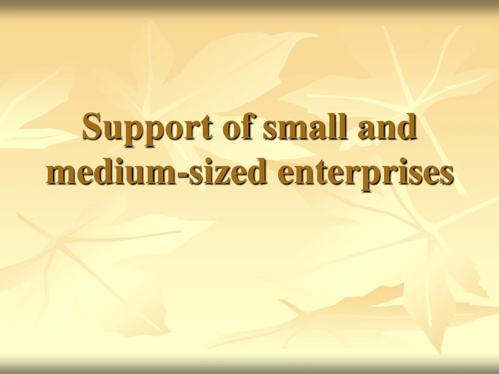 support of small and medium sized enterprises