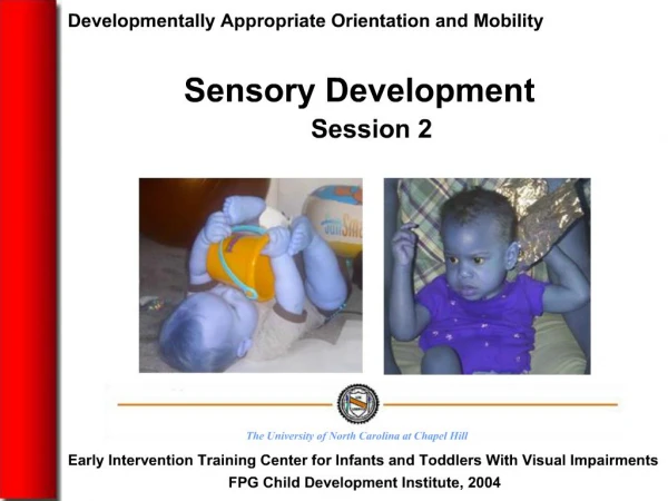 Developmentally Appropriate Orientation and Mobility