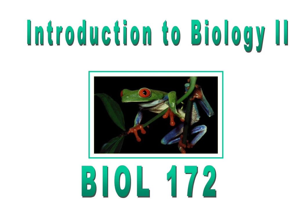introduction to biology ii