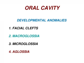 ORAL CAVITY - slide 1