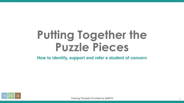 Putting Together the Puzzle Pieces
