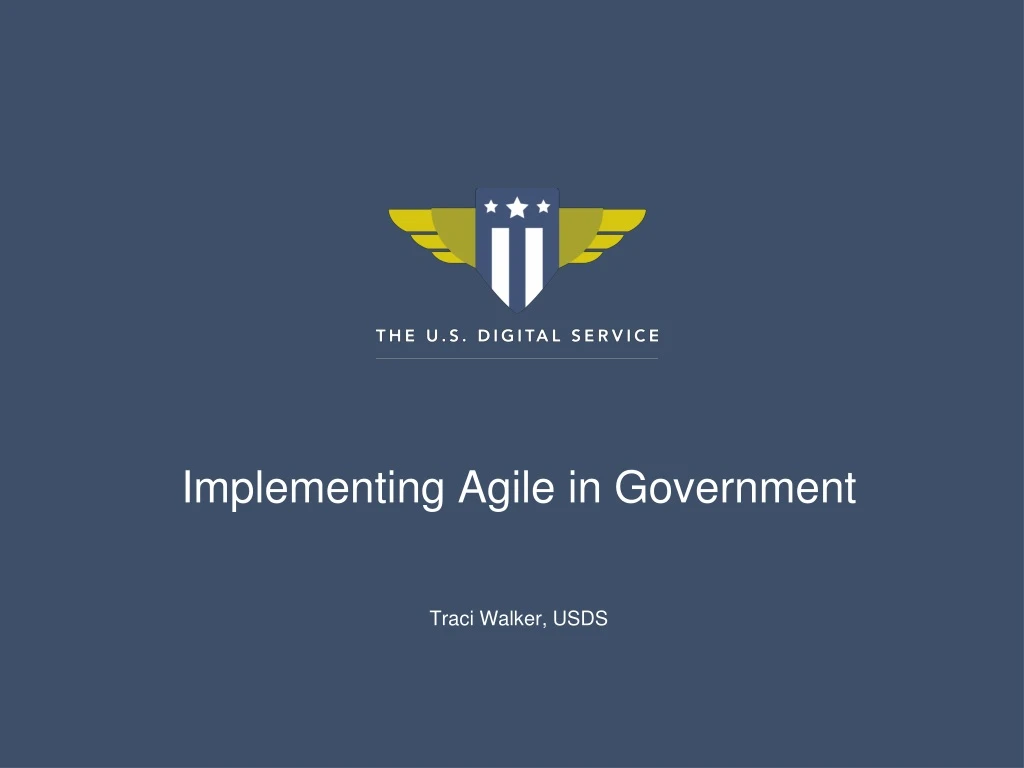 implementing agile in government