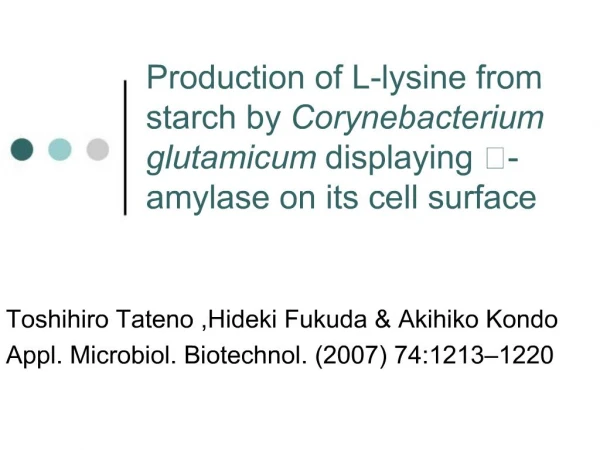Production of L-lysine from starch by Corynebacterium glutamicum displaying -amylase on its cell surface