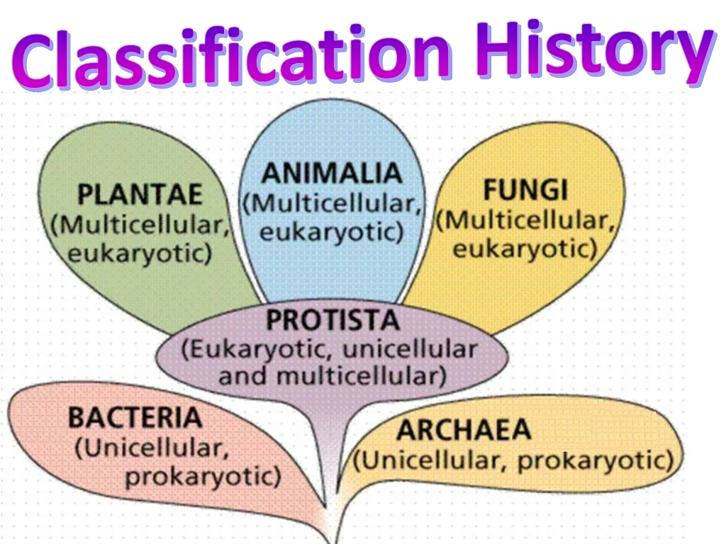 classification history