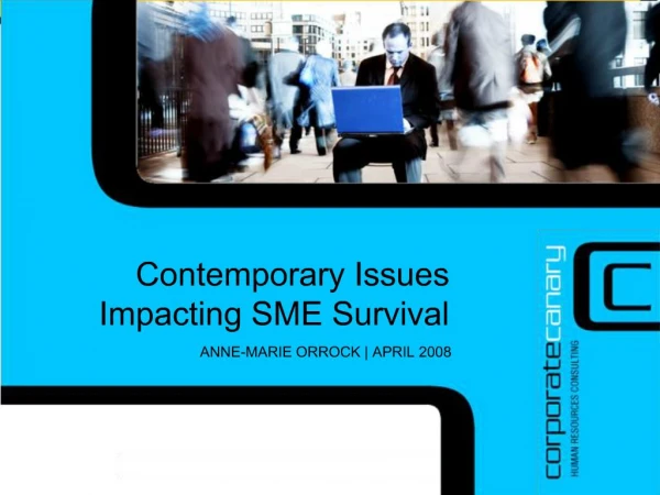 Contemporary Issues Impacting SME Survival ANNE-MARIE ORROCK APRIL 2008