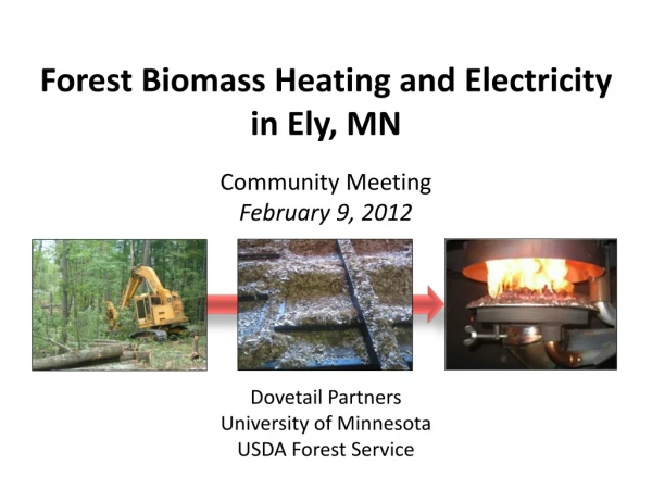 Forest Biomass Heating and Electricity in Ely, MN Community Meeting February 9, 2012