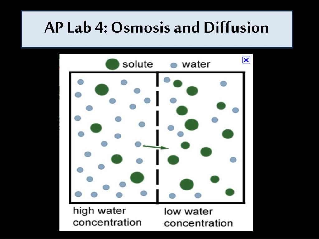 ap lab 4 osmosis and diffusion