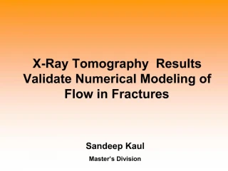 X-Ray Tomography Results Validate Numerical Modeling of Flow in Fractures - slide 1