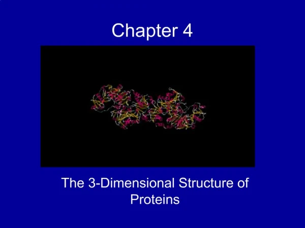 The 3-Dimensional Structure of Proteins