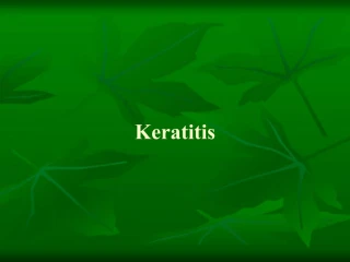 Keratitis - slide 1