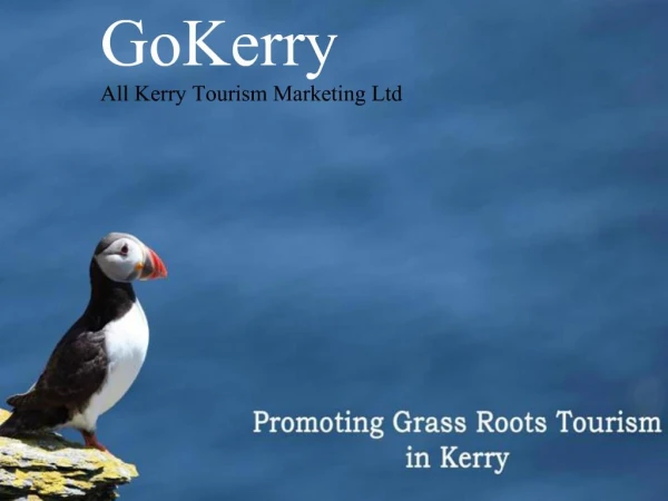 GoKerry All Kerry Tourism Marketing Ltd
