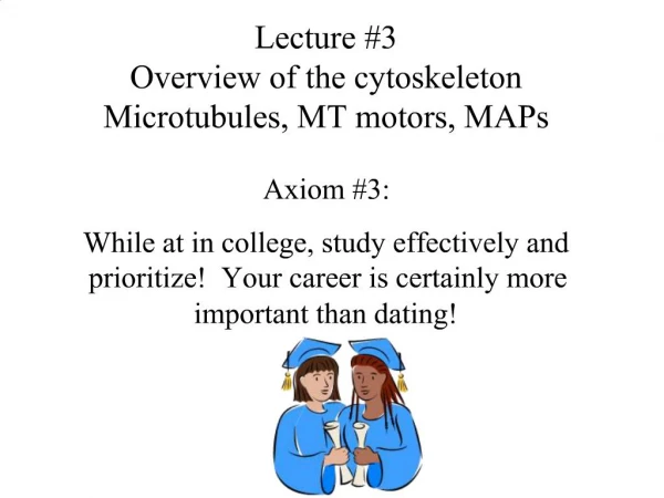 Lecture 3 Overview of the cytoskeleton Microtubules, MT motors, MAPs