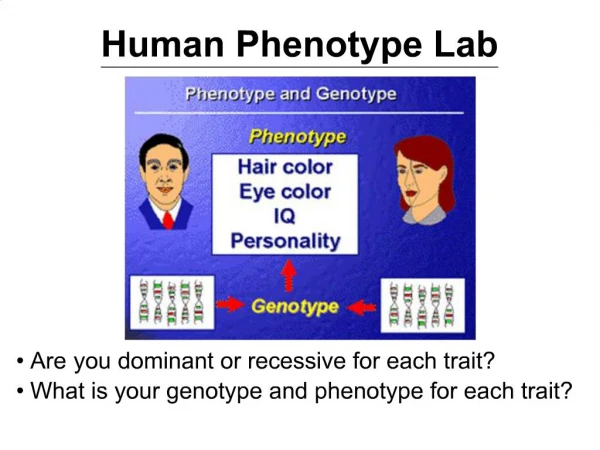 Human Phenotype Lab