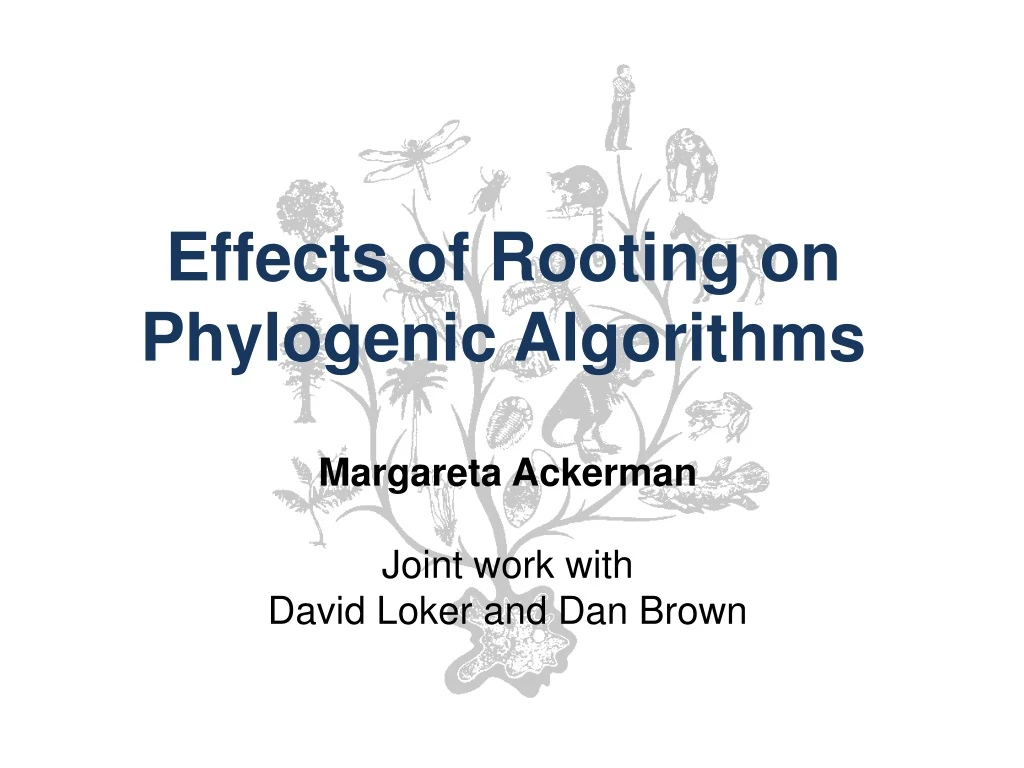 effects of rooting on phylogenic algorithms