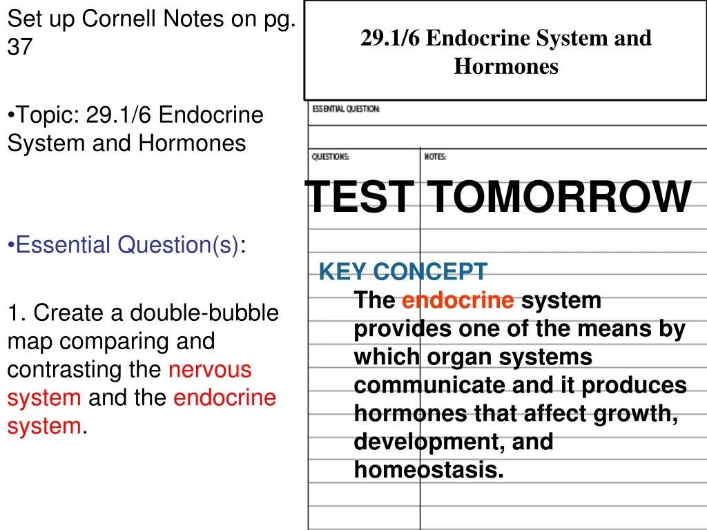 29 1 6 endocrine system and hormones